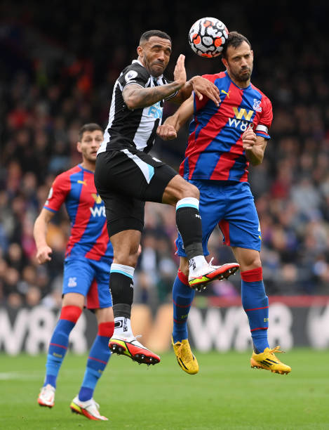 这一体育共 这一体育共